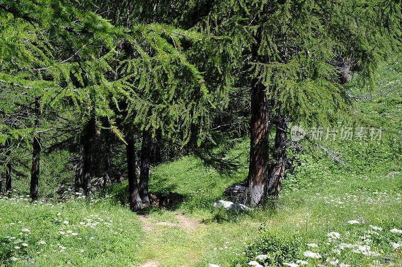 Alpe Devero - Piedmont - Italy报道